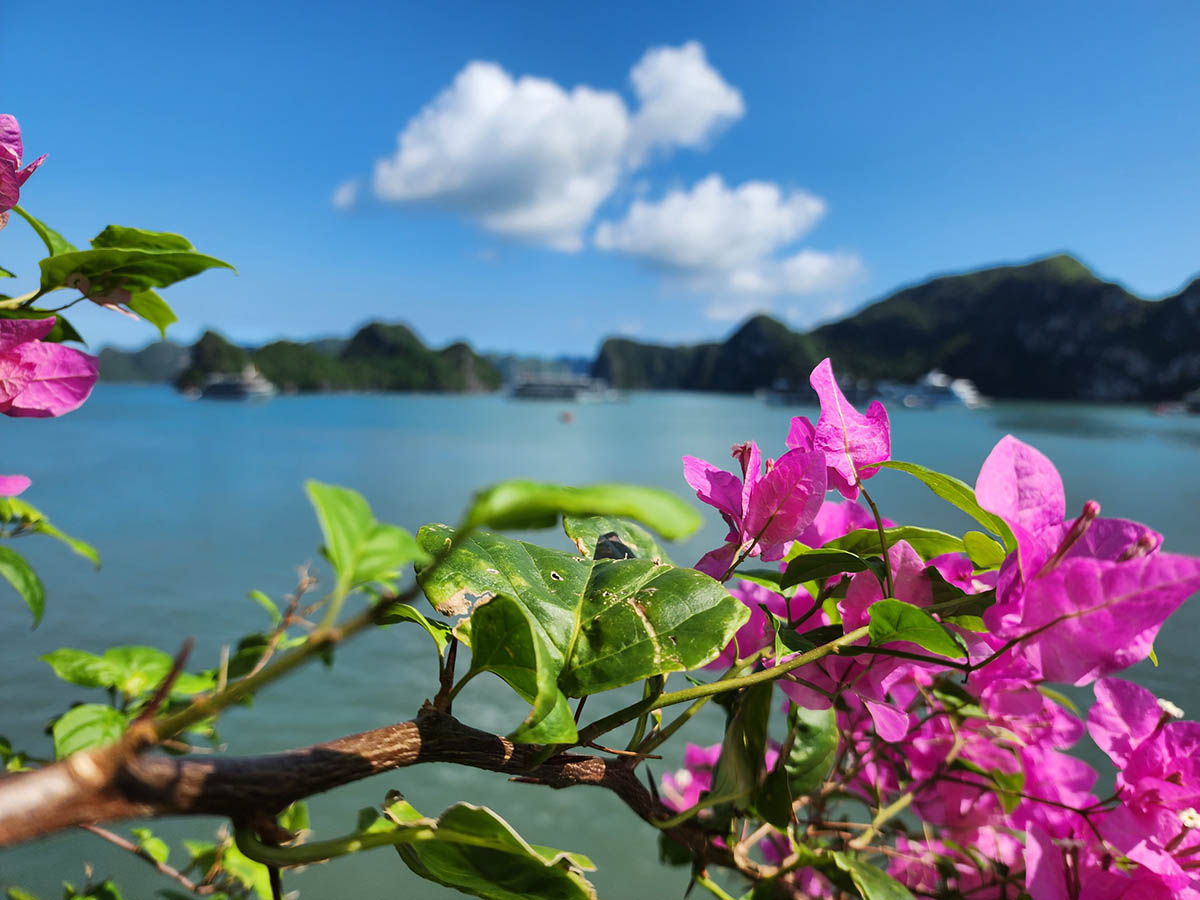 the best time to visit Halong Bay