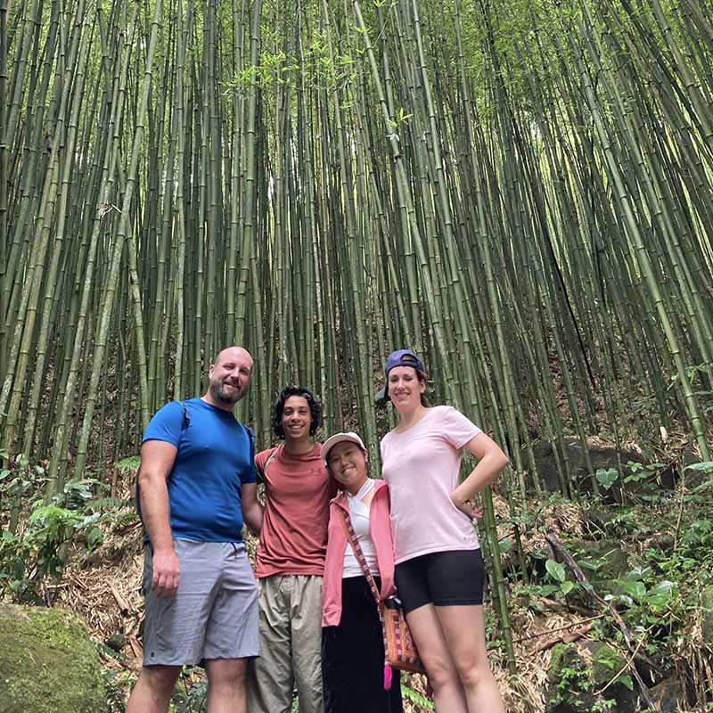 Bamboo Shoots - bamboo forest in ha giang