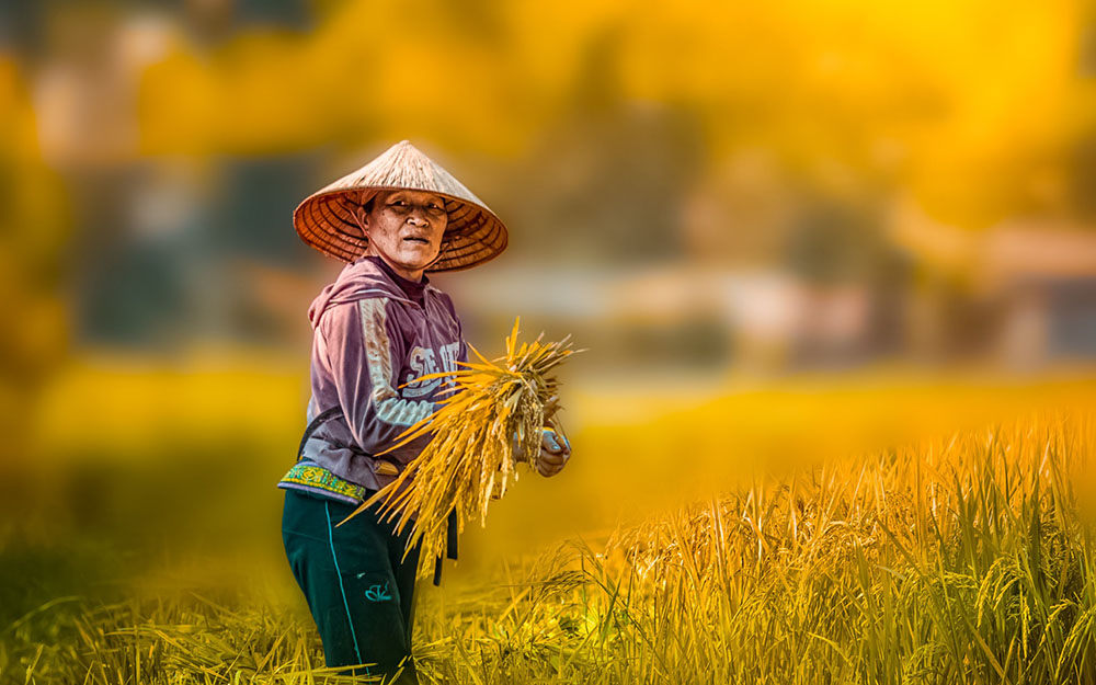 Best Time To Visit Mai Chau