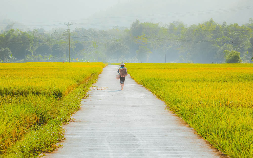 Best Time To Visit Mai Chau