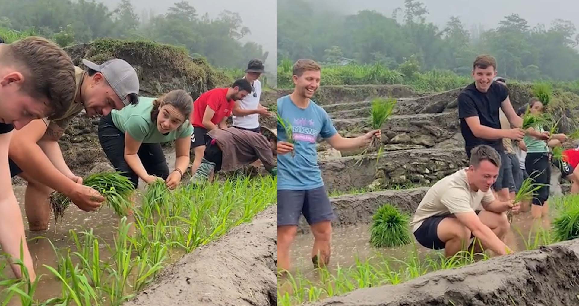 Best Time To Visit Sapa Rice Fields