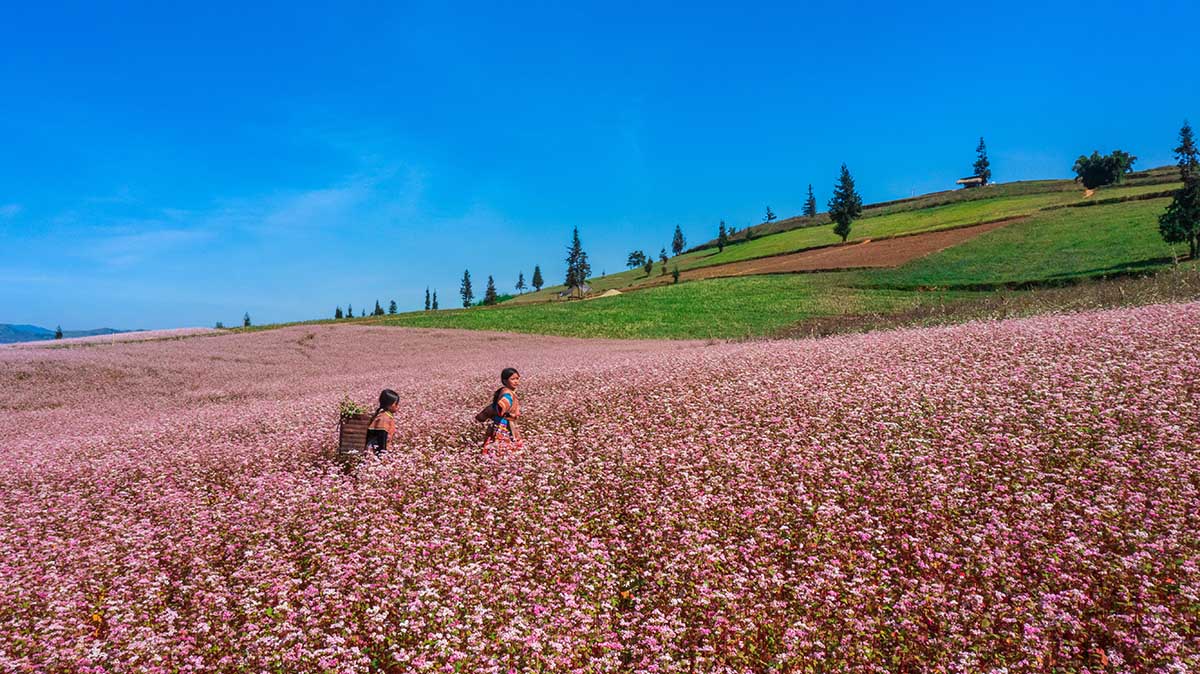 Ha Giang Loop vietnam